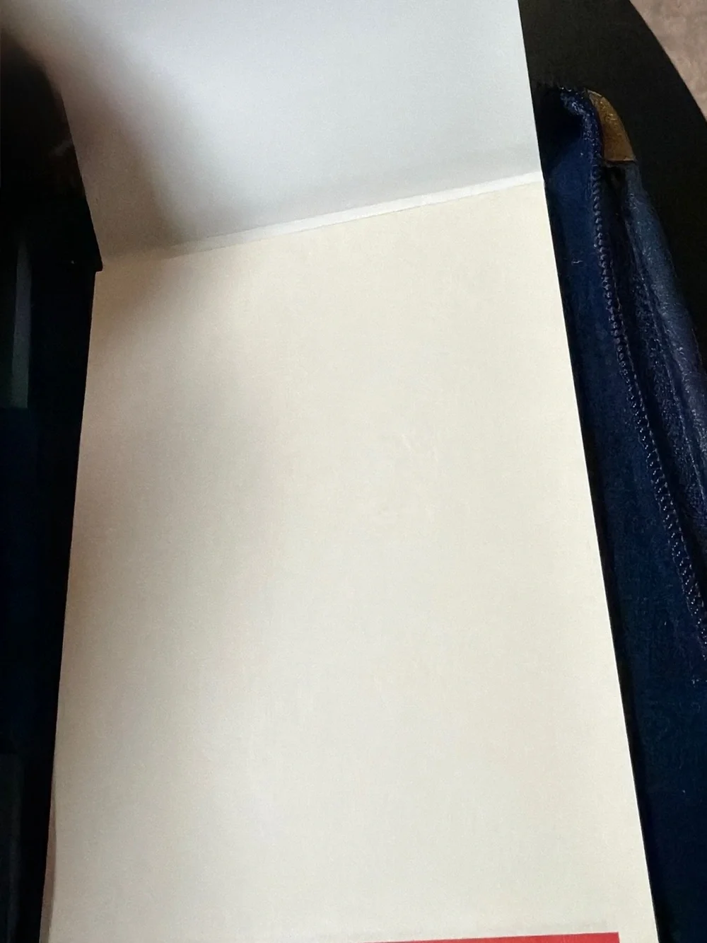 TWA Vintage Navy Blue Travel Case